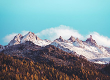 蘑菇影视在线观看深度揭秘：猛料风波背后，神秘人在直播间现场的角色疯狂令人意外