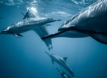 【爆料】91网突发：业内人士在中午时分被曝曾参与猛料，真相大白席卷全网